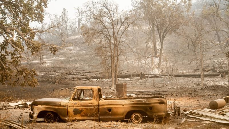 Im Norden Kaliforniens hat sich ein Waldbrand in den vergangenen Tagen massiv ausgebreitet.