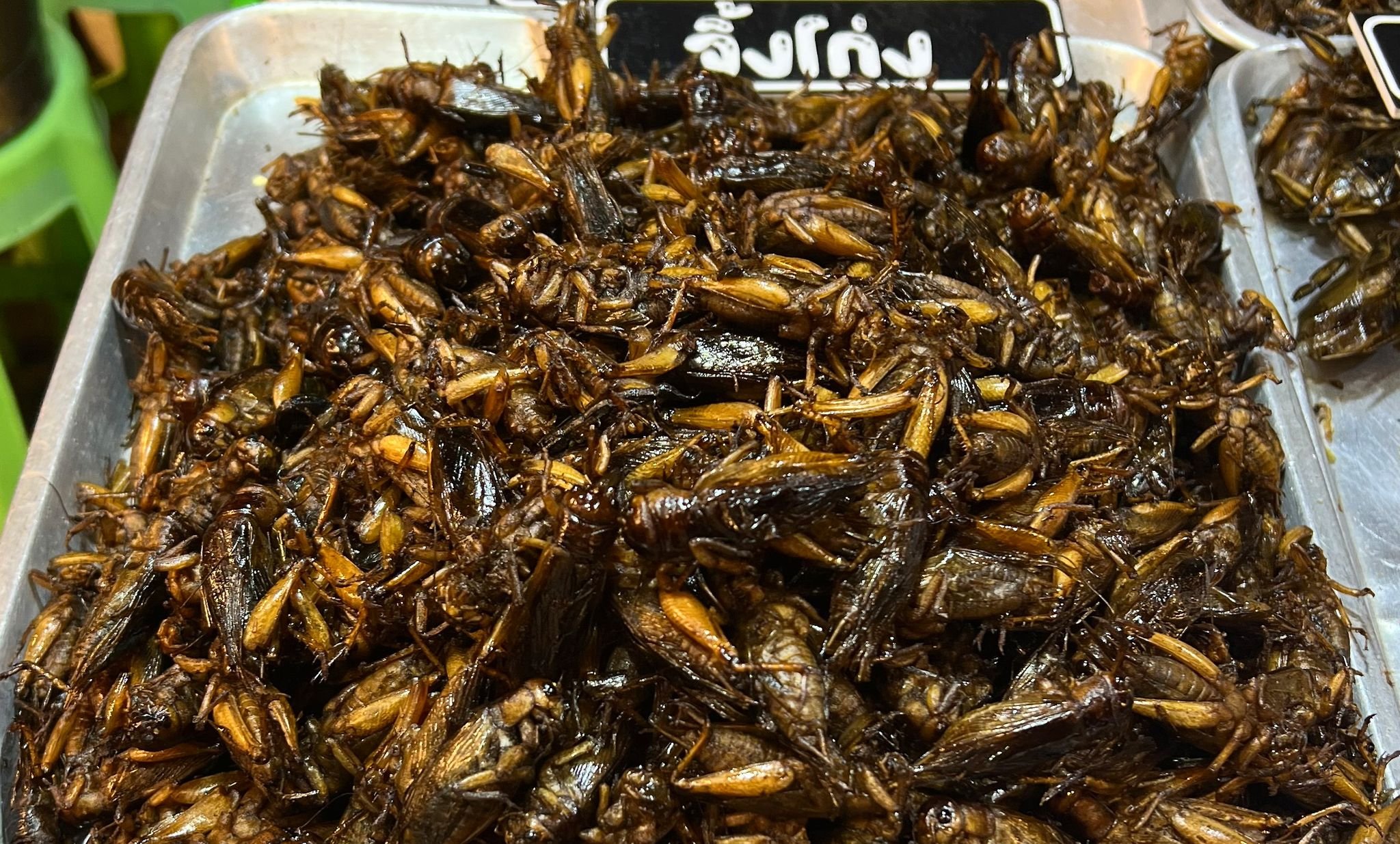 Insekten-auf-Teller-Marburg-testet-ungew-hnliches-Speiseangebot