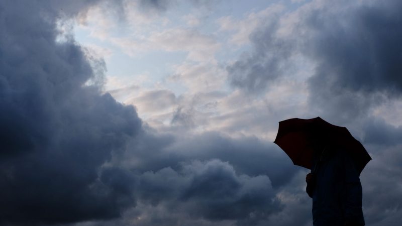 Ein Radfahrer ist bei einem Gewitter in Aachen durch einen umgestürzten Baum lebensgefährlich verletzt worden (Symbolbild).