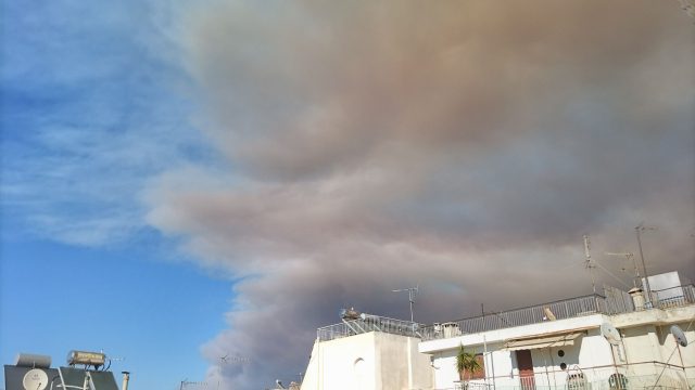 «Die Flammen steigen mehr als 25 Meter hoch.»