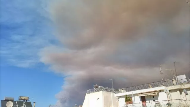 «Die Flammen steigen mehr als 25 Meter hoch.»