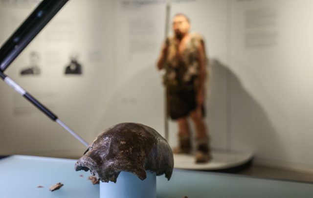 Die Schädeldecke ist das bedeutendste Fundstück, das dem 42 000 Jahre alten Frühmenschen aus dem Neandertal bei Düsseldorf zugeordnet werden kann.