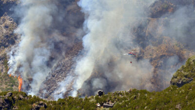 EU sendet Löschflugzeuge gegen Waldbrände auf Madeira