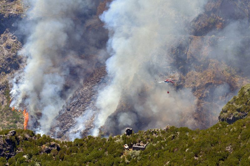 EU sendet Löschflugzeuge gegen Waldbrände auf Madeira