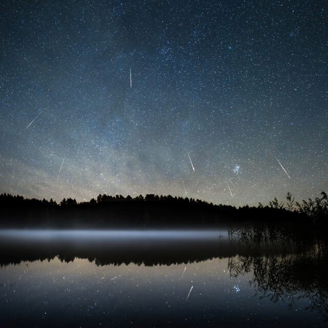 Perseiden über einem See in Litauen, aufgenommen in der Nacht auf den 13. August 2016. Foto: Arnas Goldberg, CC BY 3.0