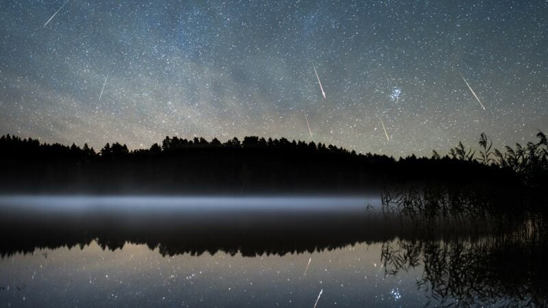 Perseiden über einem See in Litauen, aufgenommen in der Nacht auf den 13. August 2016. Foto: Arnas Goldberg, CC BY 3.0