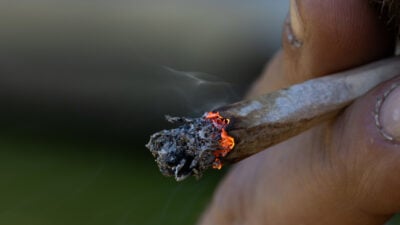 Forschung: Cannabiskonsum erhöht das Risiko für Herzprobleme