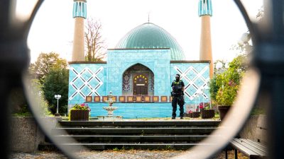 Oberste Priorität für die Kläger ist es, die Blaue Moschee wieder für die Gläubigen zu öffnen zu können. (Archivbild)