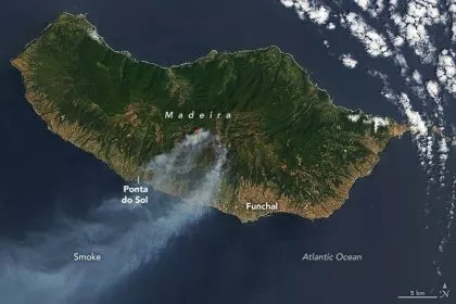 Portugal: Waldbrand auf Madeira unter Kontrolle