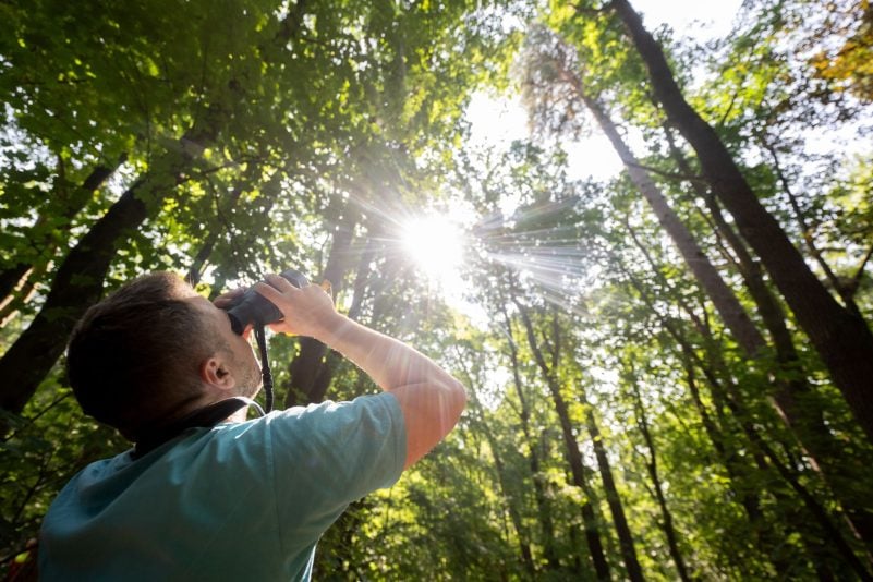 NRW will 5.000 Hektar Wildnisgebiete ausweisen