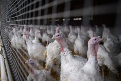 Neue EU-Schadstoffregeln für Industrie und Bauern in Kraft