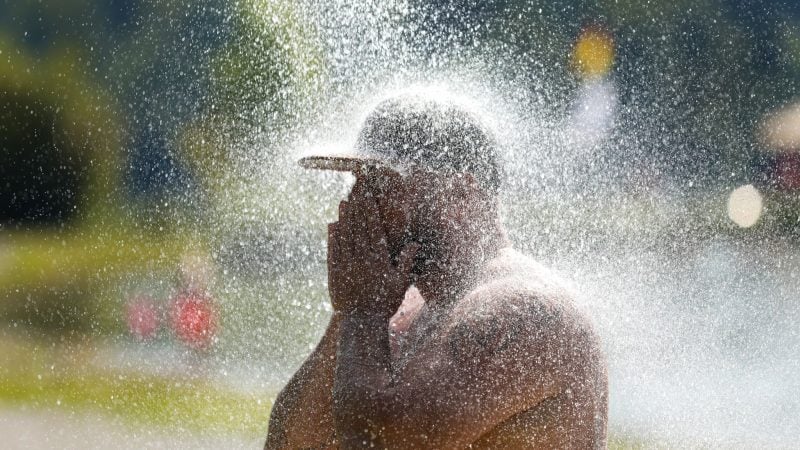 Temperaturen bis zu 37 Grad erwartet der Deutsche Wetterdienst in der neuen Woche. (Archivbild)