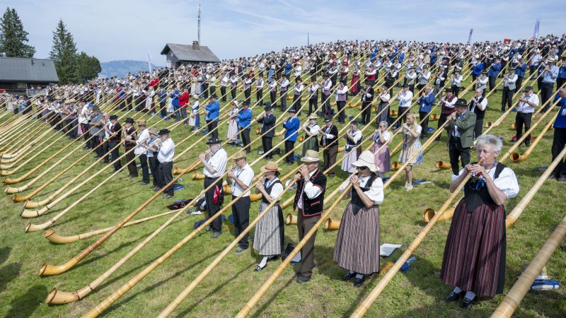 Die Alphornbläserinnen und -bläser standen dicht an dicht an einem Hang.