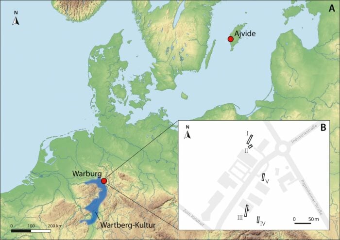 Pest in der Jungsteinzeit: Vermutlich Einfälle und Übertragung durch den Hund