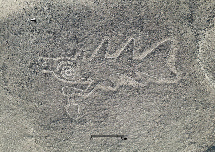 303 neue Scharrbilder in Nazca: Orca mit Messer