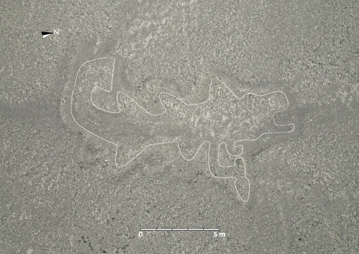 303 neue Scharrbilder in Nazca: Orca mit Messer