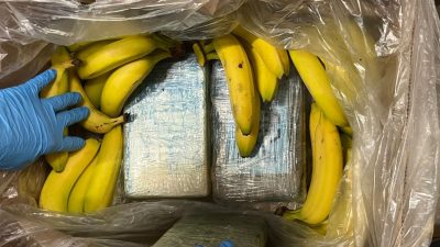 95 Kilo Kokain in Bananenkartons bei Discounter im Rheinland entdeckt