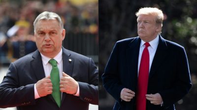 Eine „besondere Beziehung“ und die Gefahr: Das Bündnis zwischen Trump und Orbán