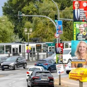 AfD könnte Sperrminorität auch unter einem Drittel der Stimmen gewinnen