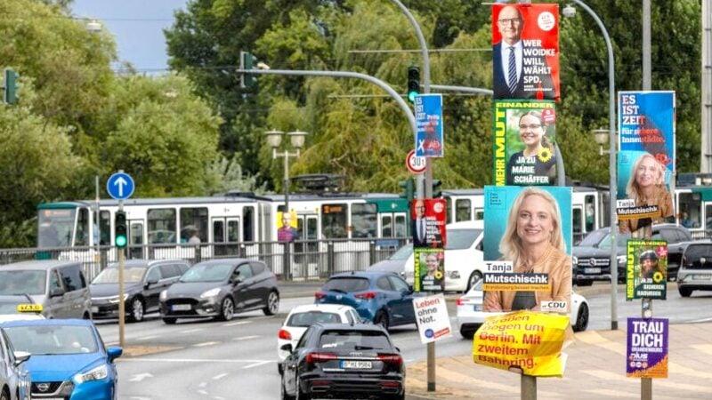 Umfrage: AfD weiter vor SPD vor Landtagswahl in Brandenburg