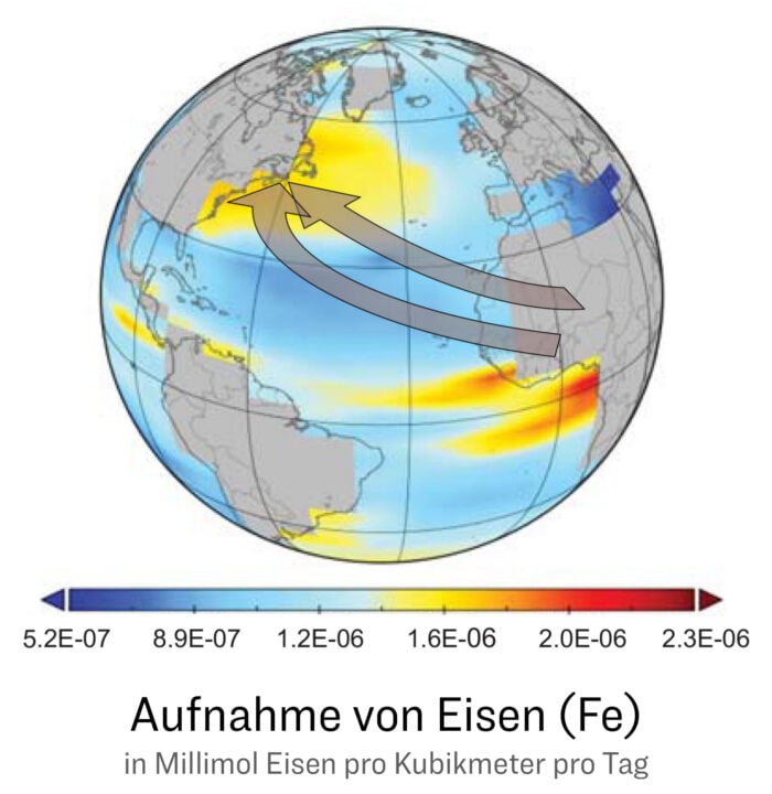 Flugrichtung und Menge vom an Saharastaub gebundenen Eisen