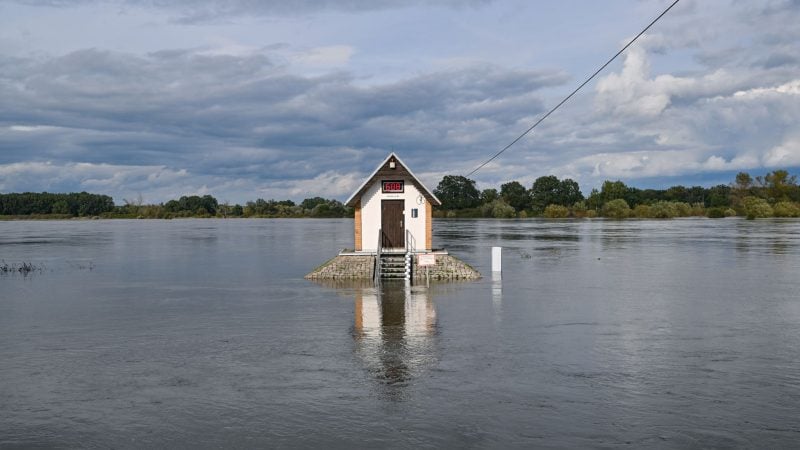 Das Pegelhäuschen bei Ratzdorf an der Oder ist von Wassermassen umgeben.