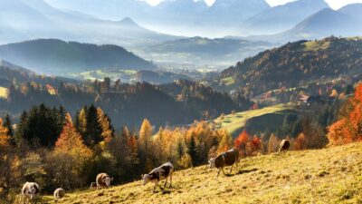 Eine Wende zur Selbstbestimmung der europäischen Völker