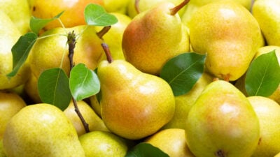 Frucht voll heilender Nährstoffe: Was Birnen so besonders macht