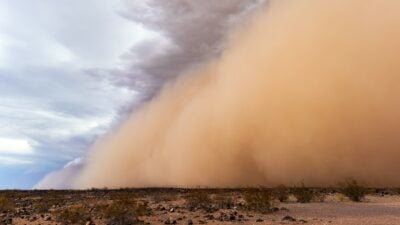 Eisen im Saharastaub lässt Leben in weit entfernten Ozeanen aufblühen