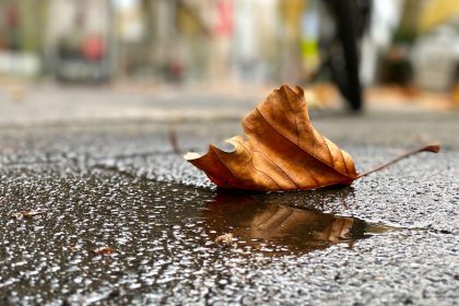 Wetterumschwung: Regen, Sturm und Schnee in Deutschland
