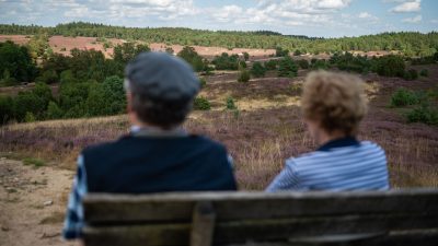 Trotz Bevölkerungswachstums: Weniger Arbeitskräfte bei Renteneintritt der Babyboomer