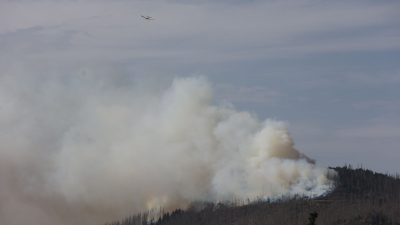 Waldbrand im Harz: 500 Menschen vom Brocken geholt