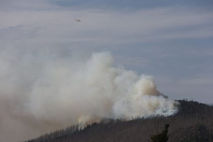 Waldbrand im Harz: 500 Menschen vom Brocken geholt