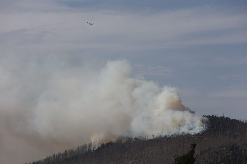 Vor zwei Jahren hatte der Landkreis Harz den Katastrophenfall wegen eines Brandes am Brocken ausgerufen - jetzt ist dort wieder ein Feuer ausgebrochen.