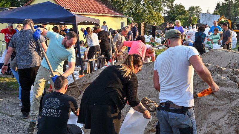 Einwohner von Lebus, einer Kleinstadt etwa zehn Kilometer nördlich von Frankfurt (Oder), befüllen Sandsäcke gegen das drohende Hochwasser vom deutsch-polnischen Grenzfluss Oder.