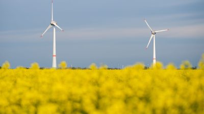 Erneut Rekord: Ausschreibungen für Windkraft ziehen an