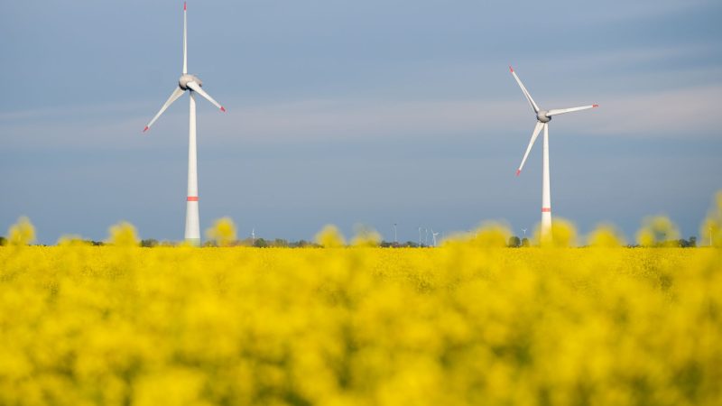 Die Netzagentur verzeichnet derzeit einen Boom bei der Genehmigung neuer Windenergieanlagen an Land. (Symbolbild)