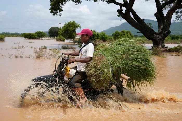 Überschwemmung in Myanmar: Der Alltag muss trotzdem weitergehen. Ein Anwohner fährt mit seinem Motorrad auf einer überfluteten Straße.