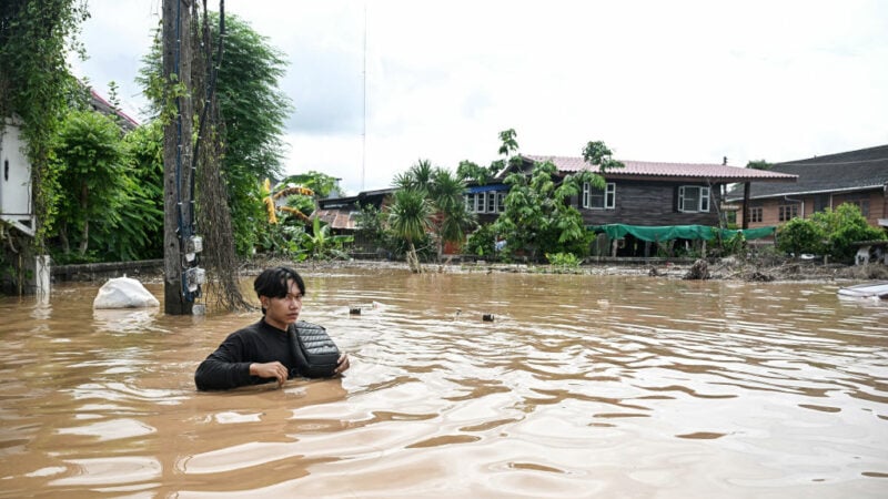 Wieder Hochwasser in Chiang Mai – 117 Elefanten gerettet