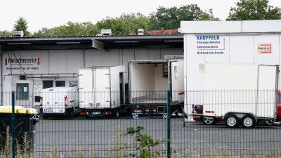 Tierärztin vor Gericht: Schlachthof per Handynachricht vor Kontrolle gewarnt