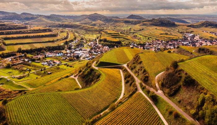 Im Kaiserstuhl gibt es Seltene Erden