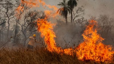 Indigene Feuerwehrleute kämpfen in Brasilien gegen Flammen