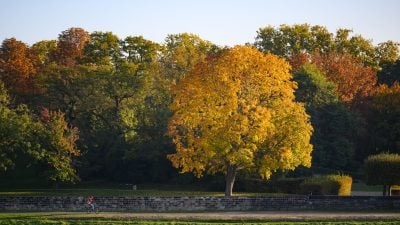 Goldener Oktober bringt stellenweise mehr als 20 Grad