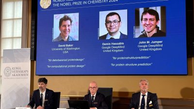 Der Nobelpreis für Chemie geht in diesem Jahr zu einer Hälfte an David Baker (USA), zum anderen Teil zusammen an Demis Hassabis und John Jumper, die beide in Großbritannien arbeiten.