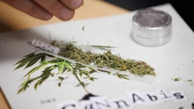 Polizeigewerkschaft: Cannabisgesetz hat sich nicht bewährt