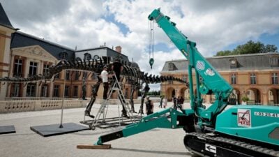 22 Meter-Dinosaurier für sechs Millionen Euro versteigert