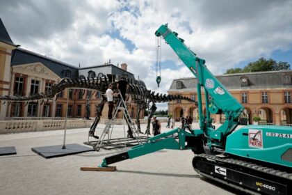 22 Meter-Dinosaurier für sechs Millionen Euro versteigert