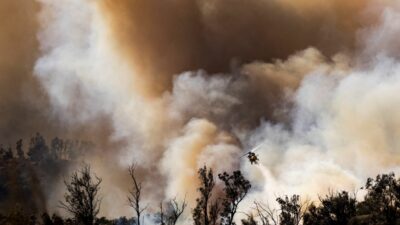 Starke Winde beim „Mountain Fire“ – Waldbrände an beiden Küsten der USA