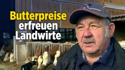 Alles in Butter? Rekordpreise freuen den Bauern und verärgern den Bäcker