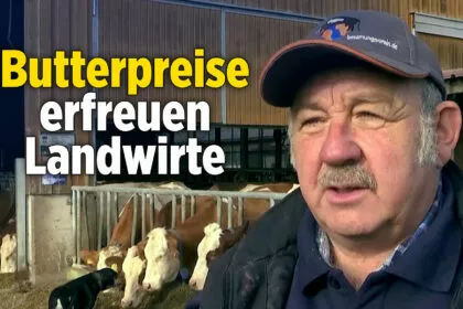 Alles in Butter? Rekordpreise freuen den Bauern und verärgern den Bäcker